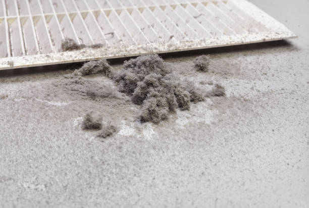 Best Professional Duct Cleaning Services  in Dawsonville, GA