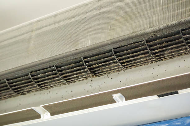 Best Local Air Duct Cleaning Services  in Dawsonville, GA